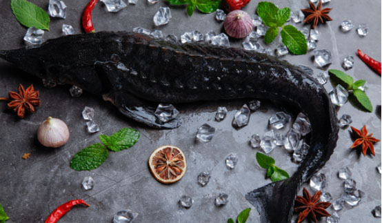 黑鱼养生